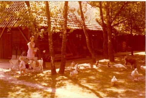 Terrein met ganzen, geiten en bezoekers op verkleurde archieffoto