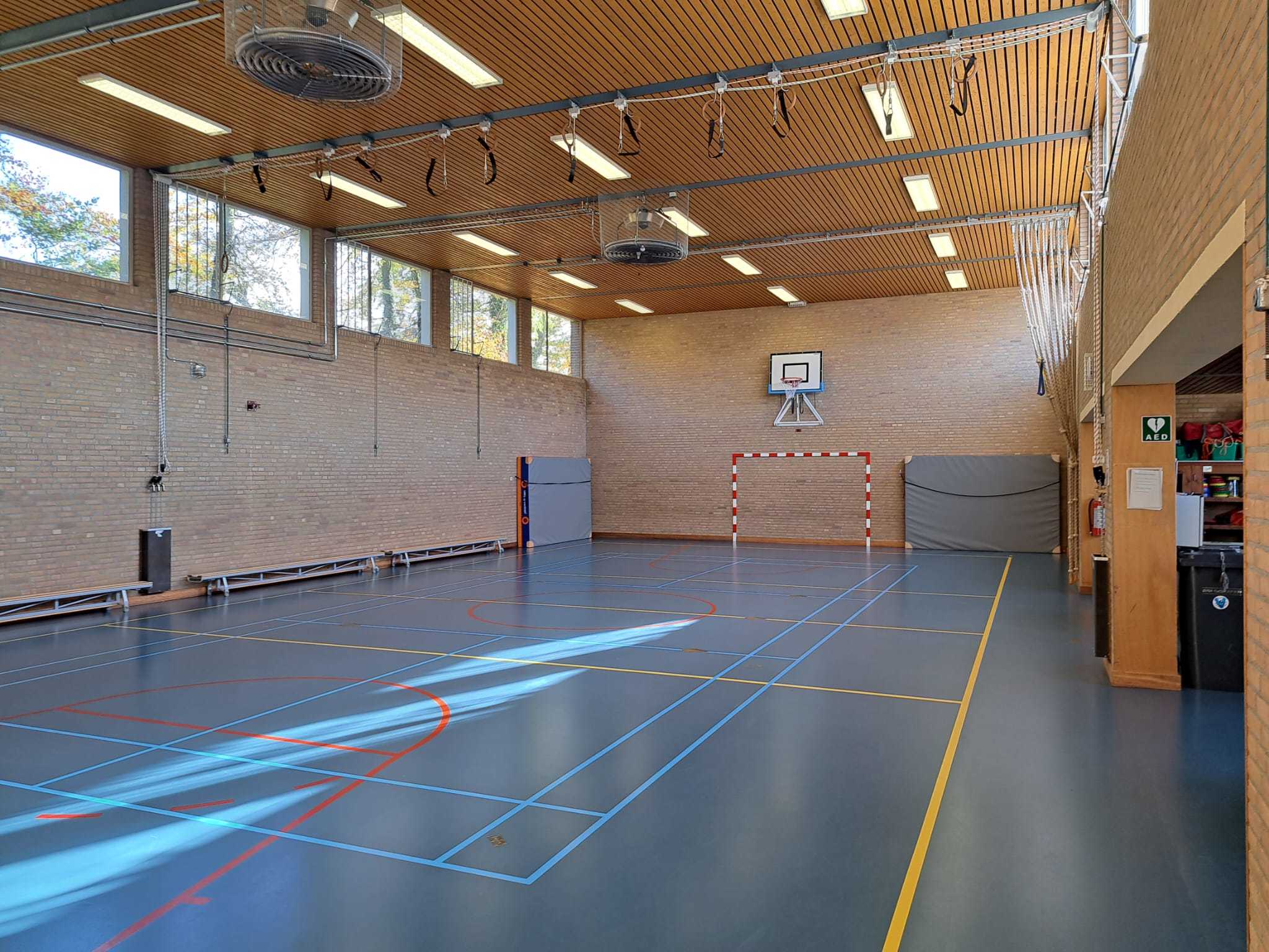 gymzaal met blauwe vloer en houten plafond