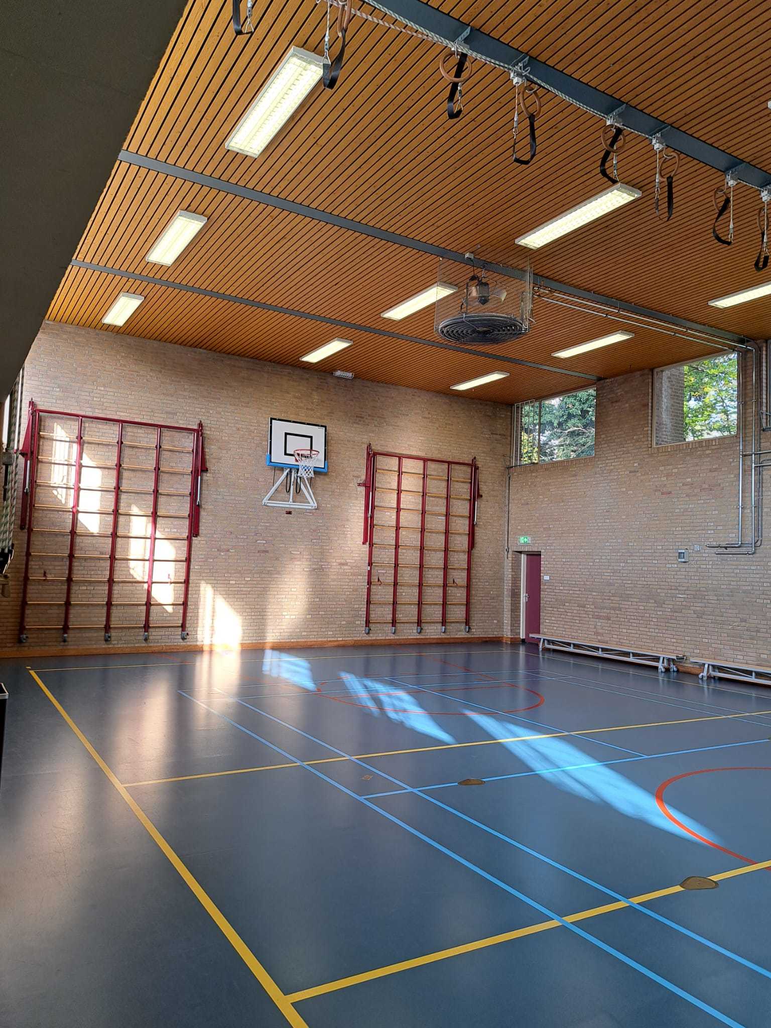 gymzaal met blauwe vloer en houten plafond
